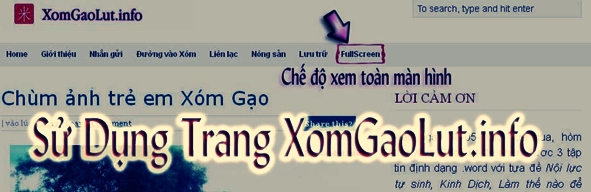 Xóm Gạo Lứt, Dạ Lai Hương, Sử Dụng trang xomgaolut.info