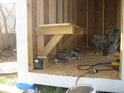 nesting boxes chicken window coop building backyard dallas parents texas