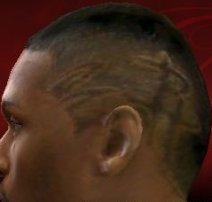 NBA 2K13 Metta World Peace Cyber Face (New Hair) Mods