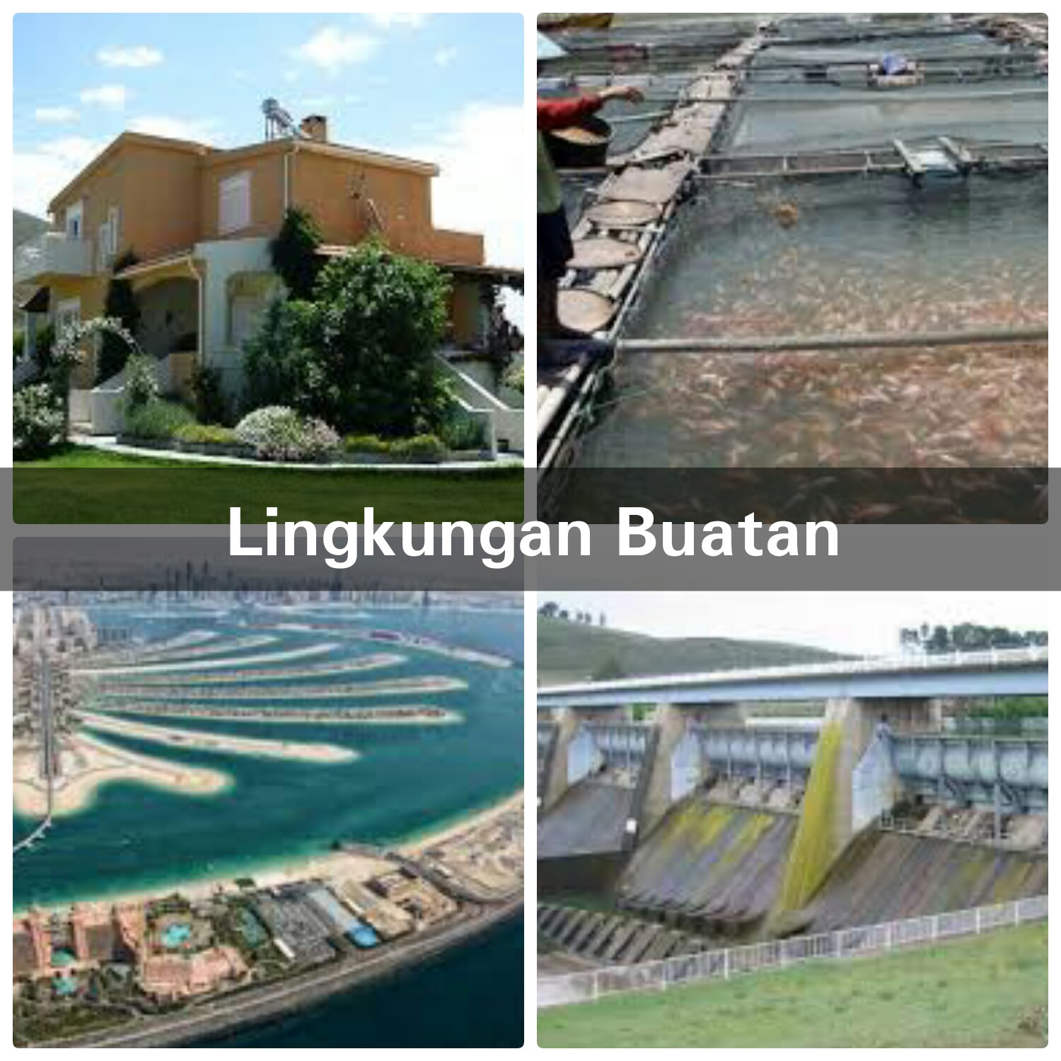 About Lingkungan