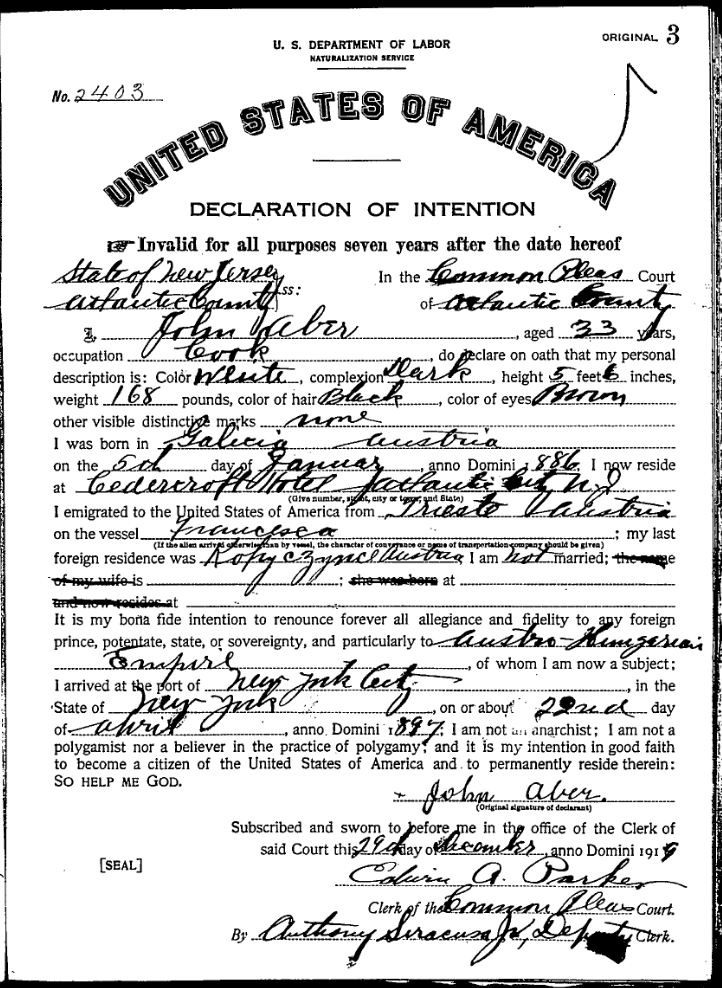 Olive Tree Genealogy Blog New Jersey Naturalization Records 18501930