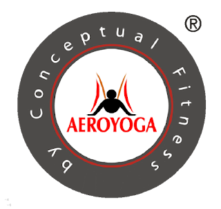 aerial yoga brasil