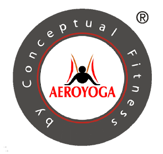 metodo-aeroyoga-en-buenos-aires-es-fiesta-formacion-profesional-profesorado-cursada-yoga-aerea-aero-aerial-airyoga-air-gravity-fly-flying-cordoba-santa-cruz-rosario-pergamino-neuquen-brailoche-punta-este-montevideo-santiago-chile-maestria-