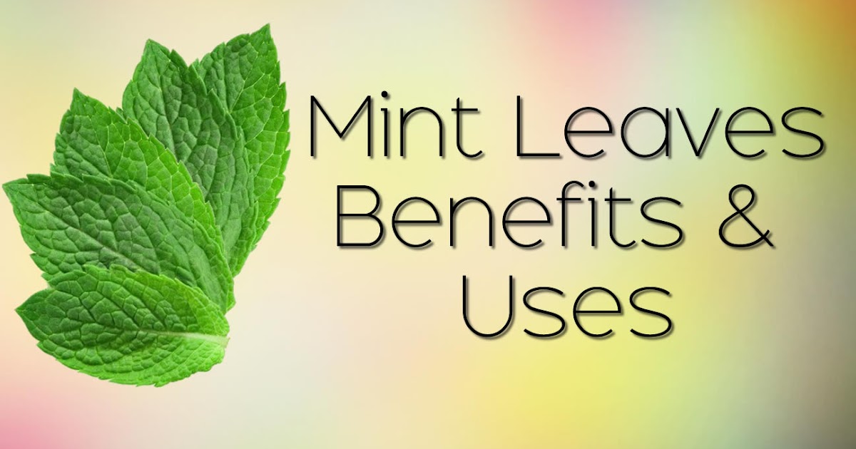 Mint Leaves Health Benefits and Uses Ryan Taylor Natural Remedies