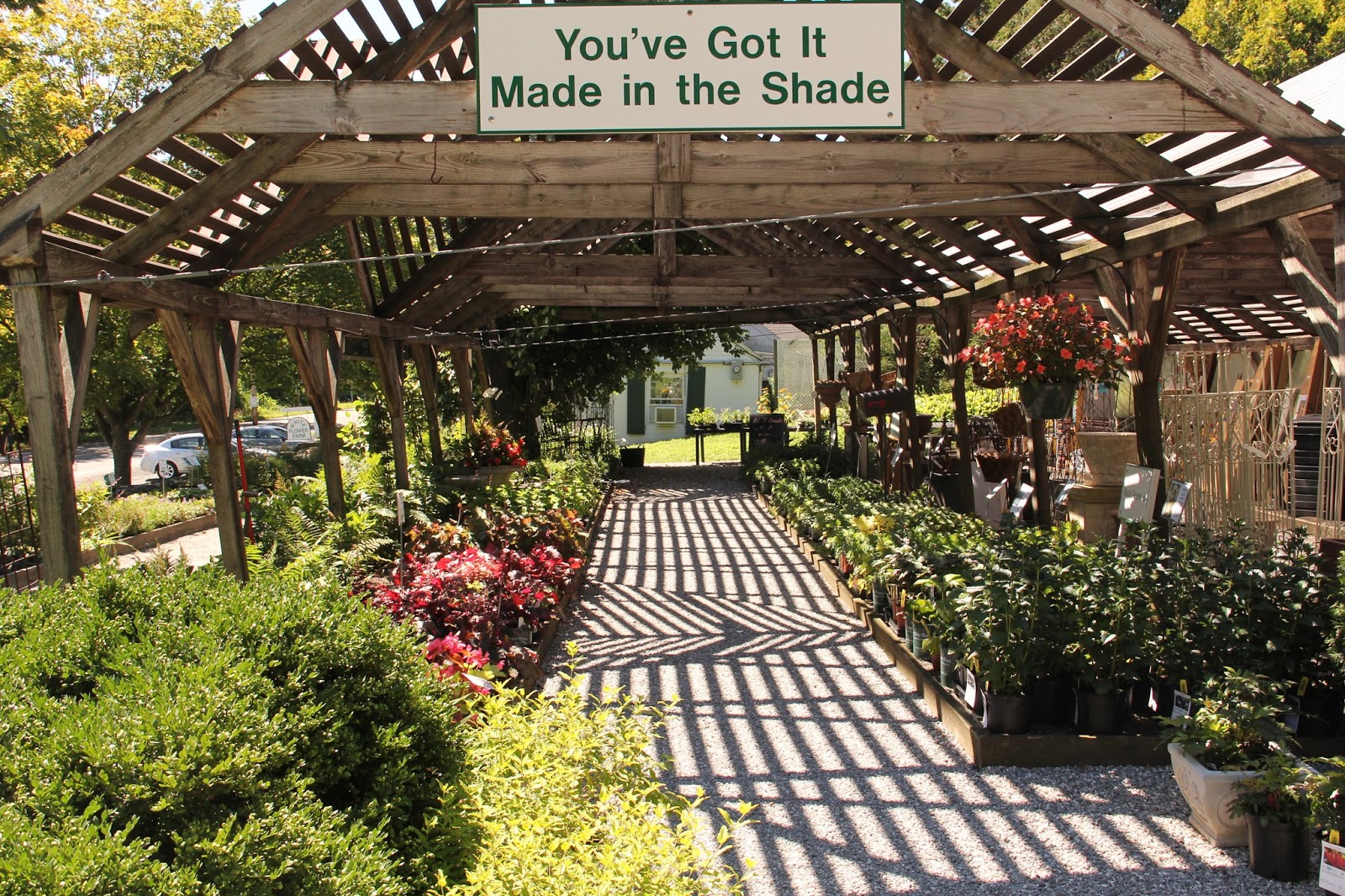 Southwest Daily Images White Flower Farm