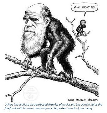 what influenced darwins theory of natural selection