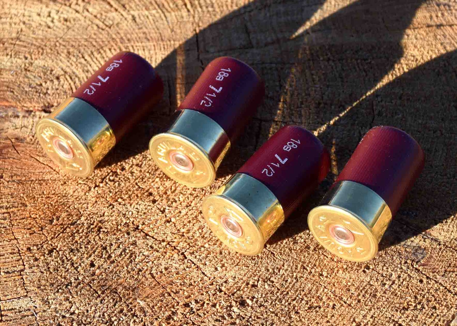 Review: Aguila Ammunition 12 Gauge "MiniShell"- A Game Changing R...