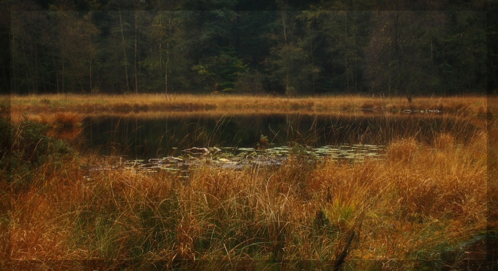 Kartenzauber Und Mehr Aphorismen Spruche Texte Gedichte