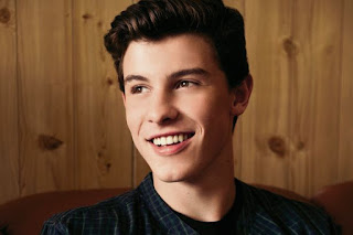 Biografi Shawn Mendes