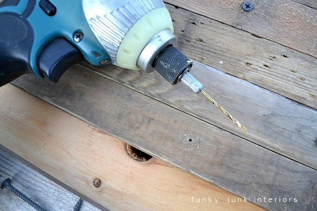 Why pre-drilling holes in old wood is so important before screwing them down... click to visit tutorial.