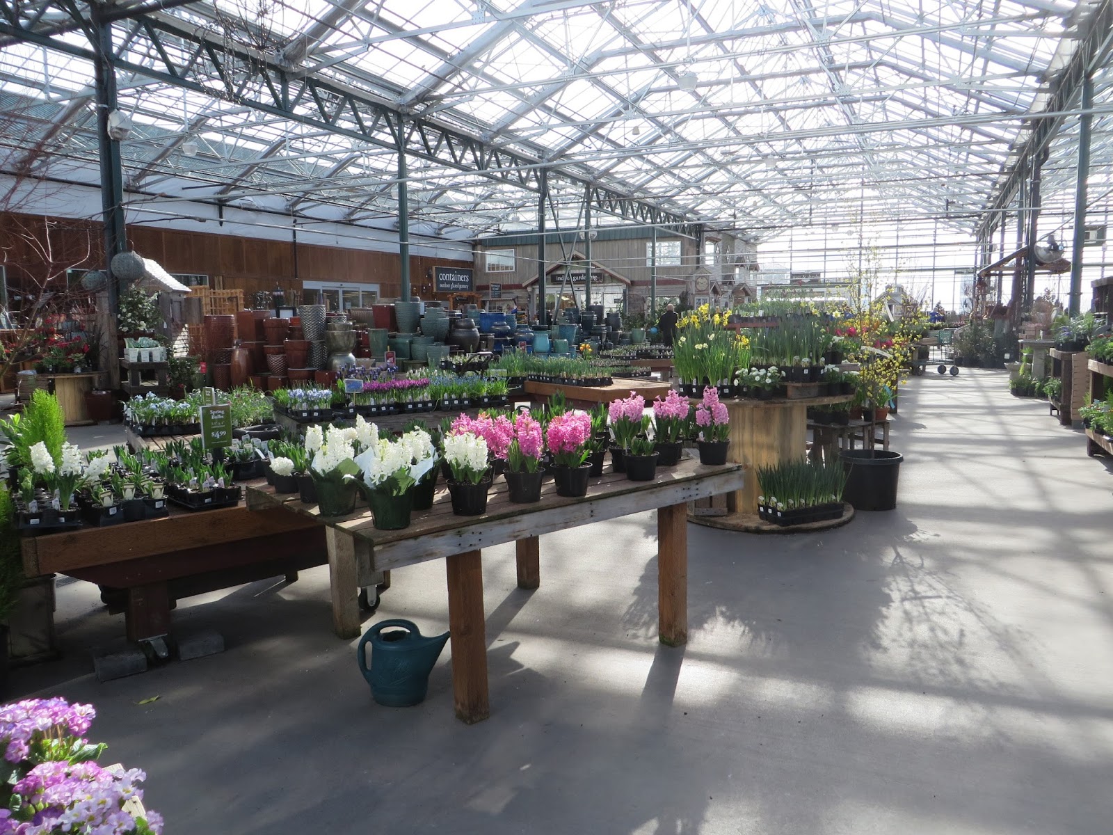 Nursery Visit Sky Nursery Seattle