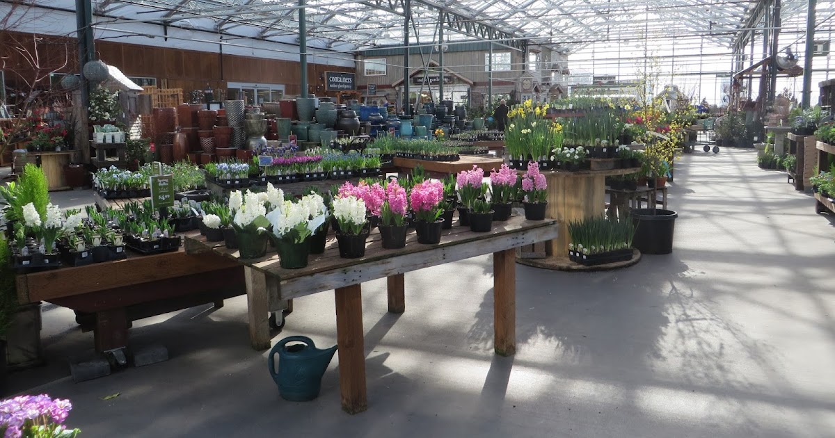 Nursery Visit Sky Nursery Seattle