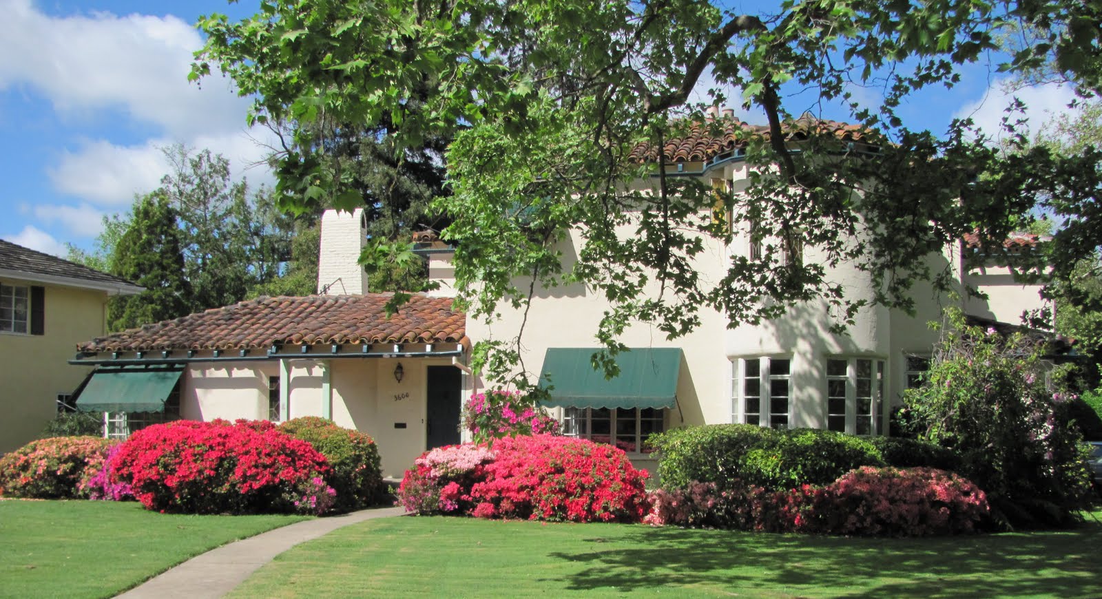 geno's blog: Azalea Walk