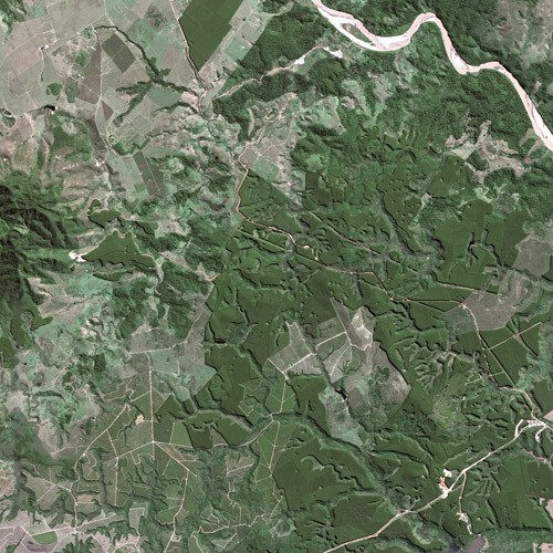 Scientists hark back to Pleistocene to trace prioritary areas for conservation Scientists hark back to Pleistocene to trace prioritary areas for conservation