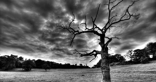 जीव पिसाटला - परतू