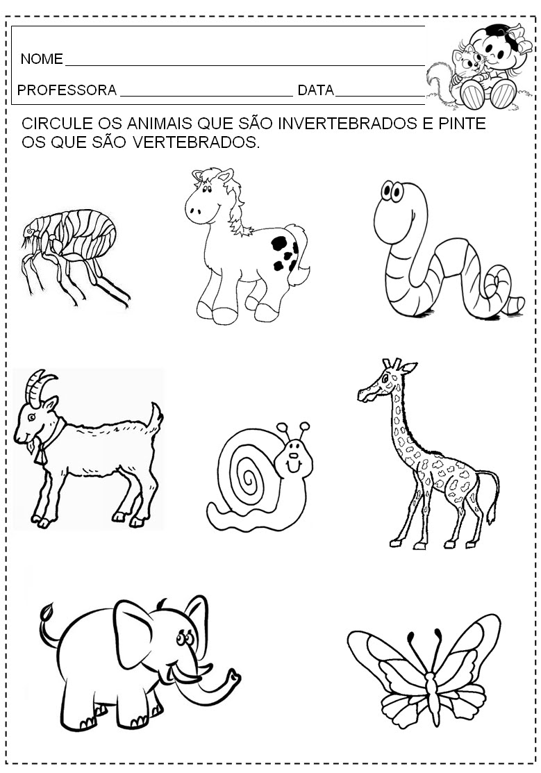 Vertebrados E Invertebrados Para Colorear Imagui