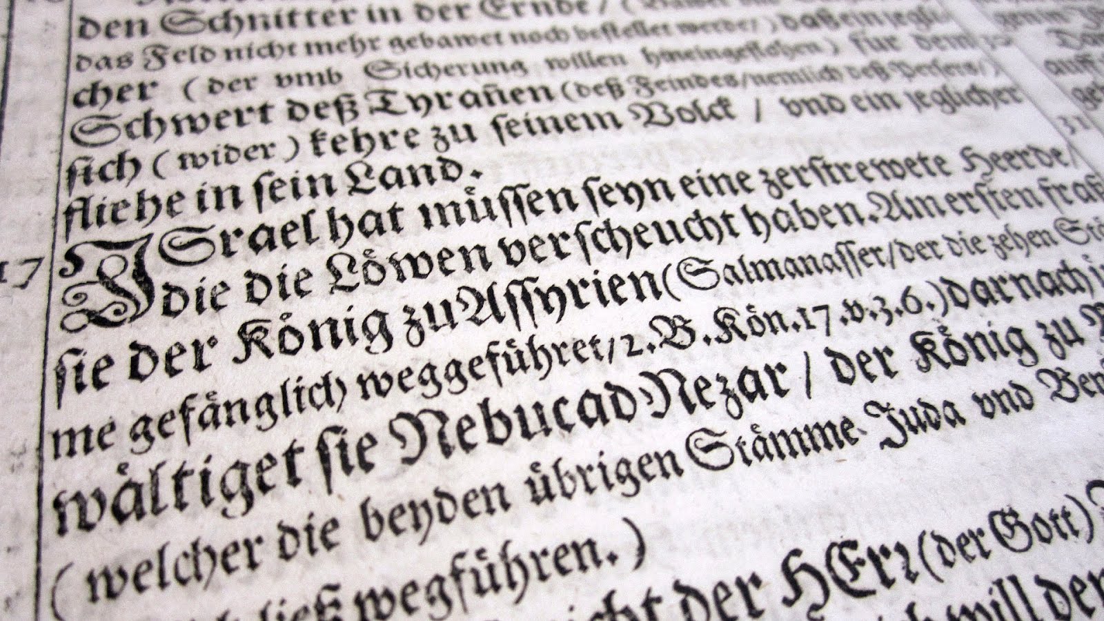 Bible translations into German German Choices