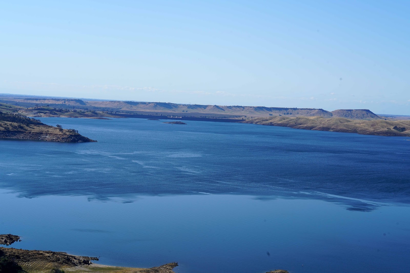 Mid Sierra Musings Bald Eagles In The Rain At Millerton Lake