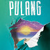 [Resensi] Pulang - Tere Liye 