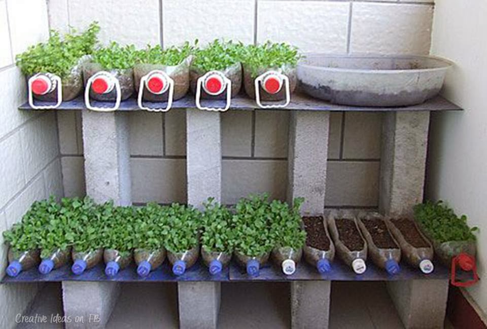 Amazing Creativity your own balcony garden vegetable box