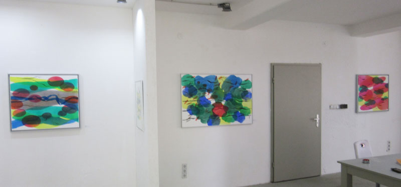 Helmut Dirnaichner Editions Publications Lydia Megert Editions