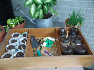 homemade seedling tray