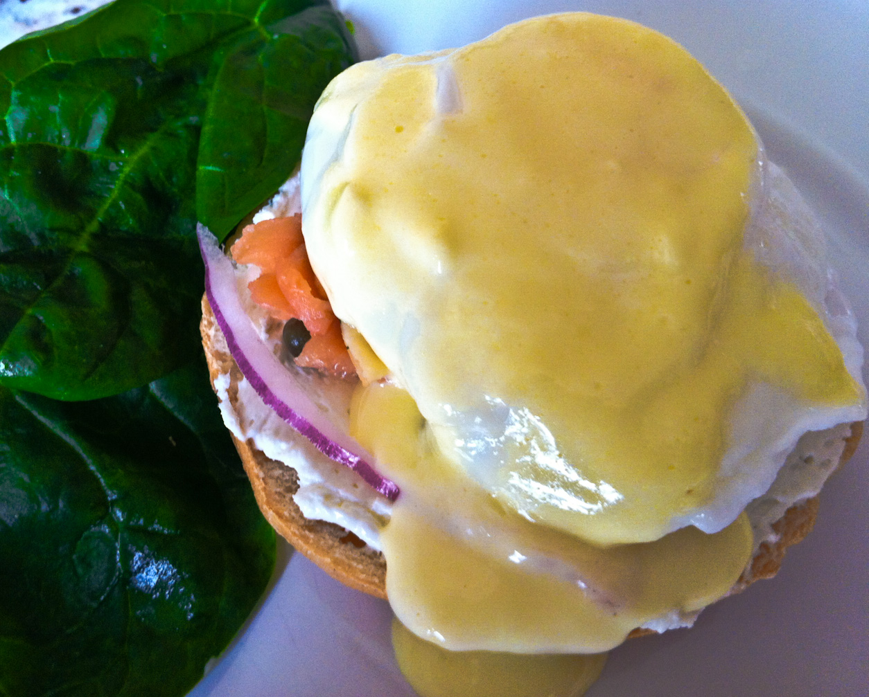 classic blender hollandaise sauce classic blender hollandaise sauce