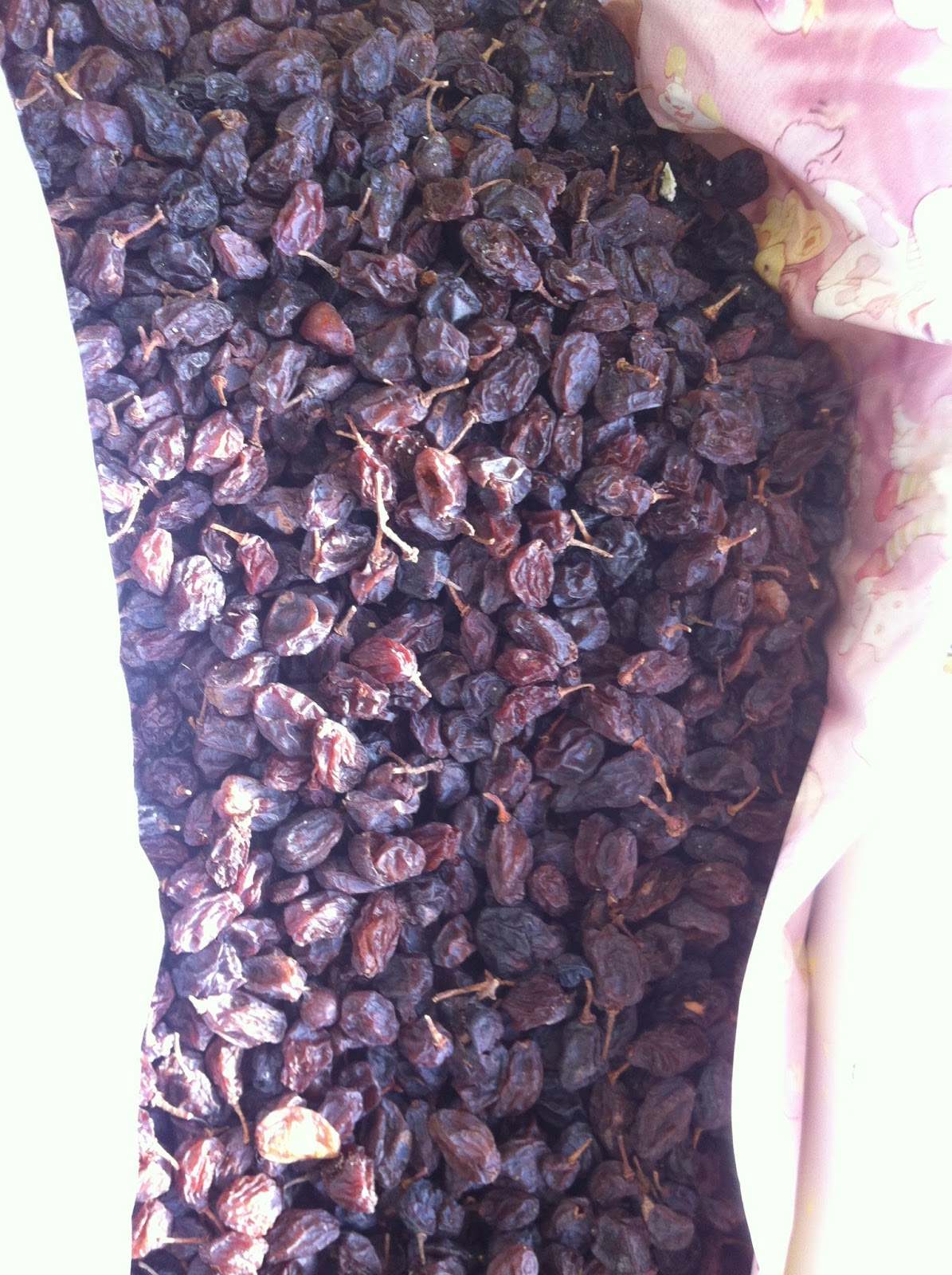 ARICI ALİ TÜRK VE ARICILIK BİLGİLERİ ARICILIK 2016 YA HAZIRLIK