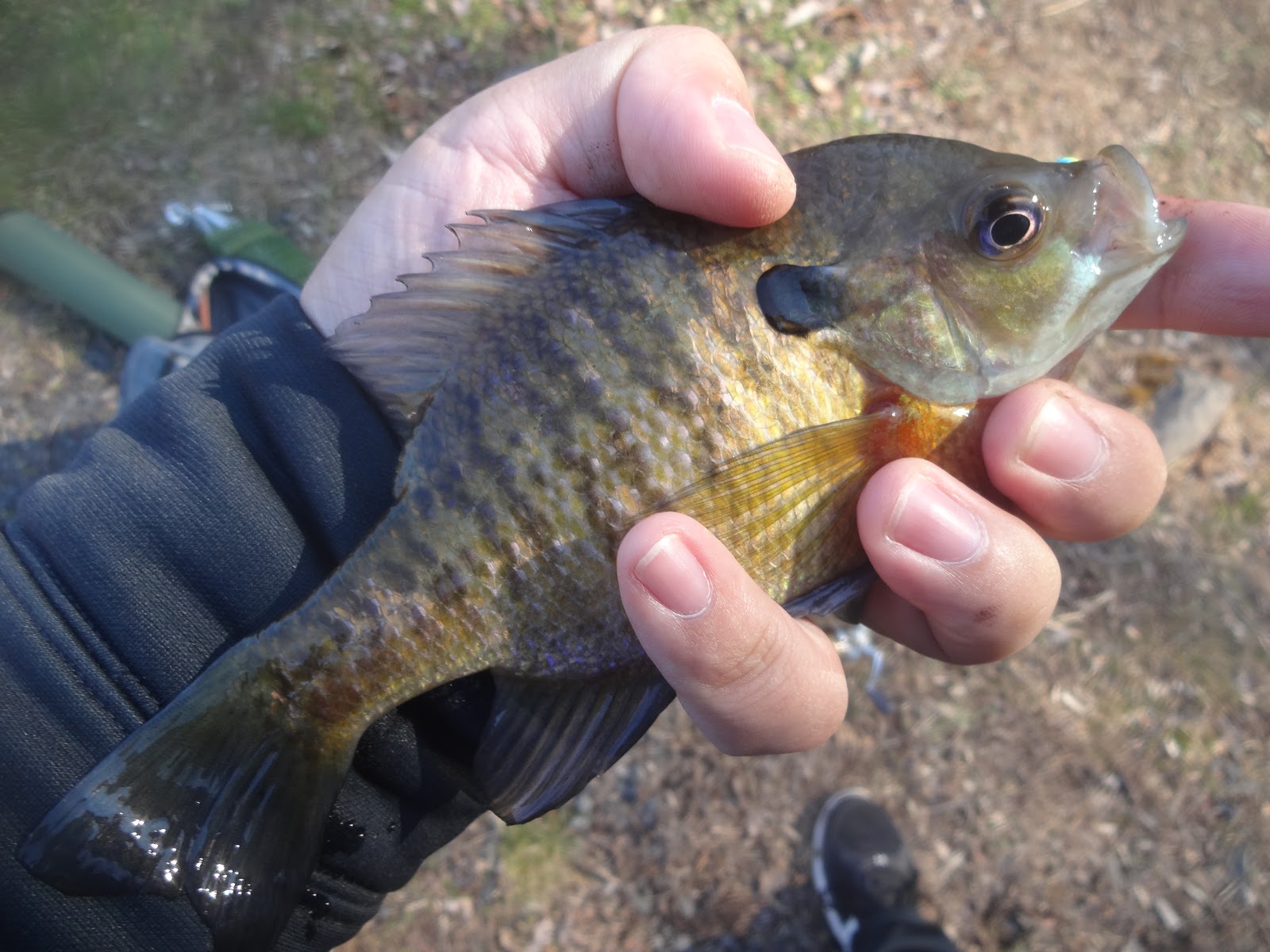 Extreme Philly Fishing Tough Day at the Delaware Canal! (02/14/17