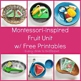 Montessori-inspired Fruit Unit with Free Printables