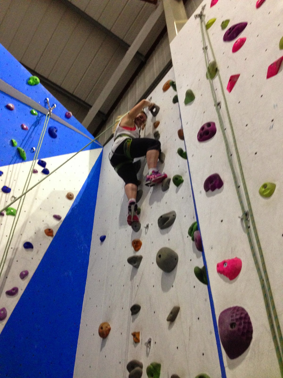High Sports Climbing Beginner's Course at Withdean Sports Complex, Brighton