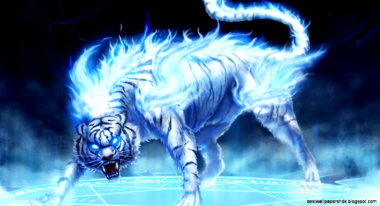 Hd tiger wallpaper dowload