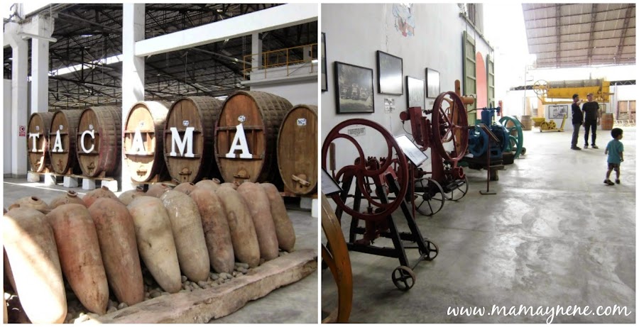 ICA-PERU-VINOS-PASEOS-TACAMA-PRODUCCION-TOUR-MAMAYNENE