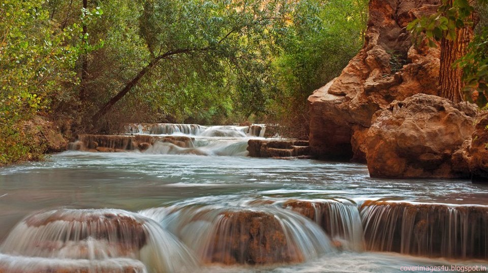 Nature's FB Covers | Facebook Covers