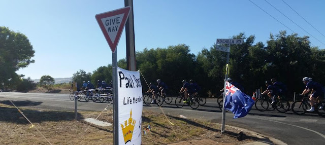 In the foreground is a triangular red and white "give way" sign and a stobie pole. An Australian flag has been attached to the directional street sign which points to Caffrey Street and Tatachilla Road.  A group of cyclists are riding along Tatachilla Road as we are stopped at the intersection to take the photograph and wait for them to ride by. In the background is a group of thick trees along the opposite side of Tatachilla Rd.