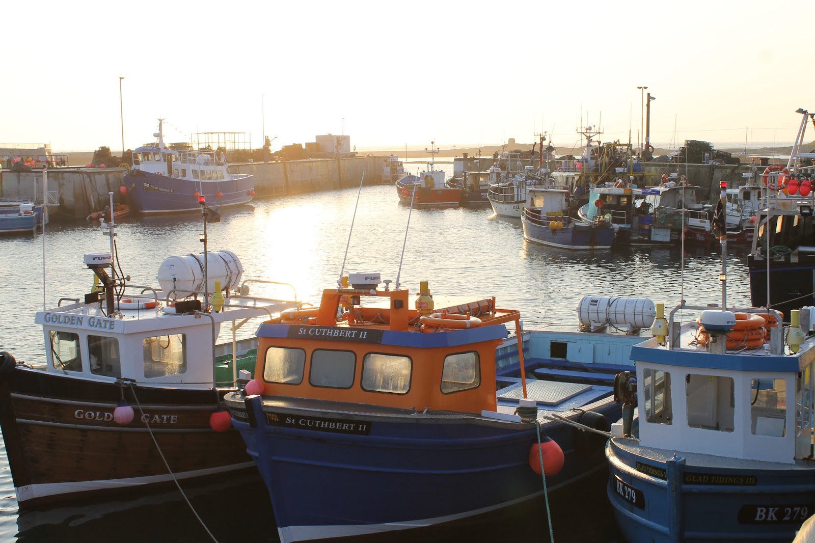 JibberJabberUK Seahouses at sunrise