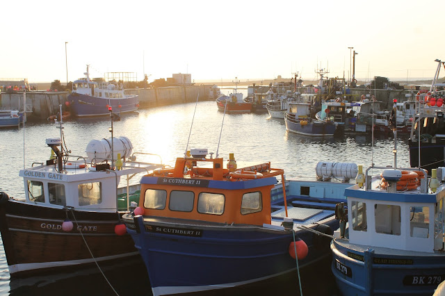 Seahouses harbour fishing boats North Sunderland Northumberland Northumbria coast sunrise