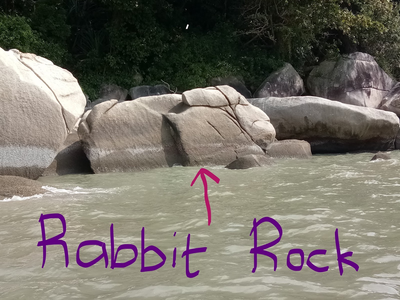 BIOLOGY is to serve mankind...: PENANG GEOPARK