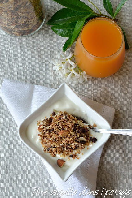 Granola à la noix de coco et éclats de cacao 
