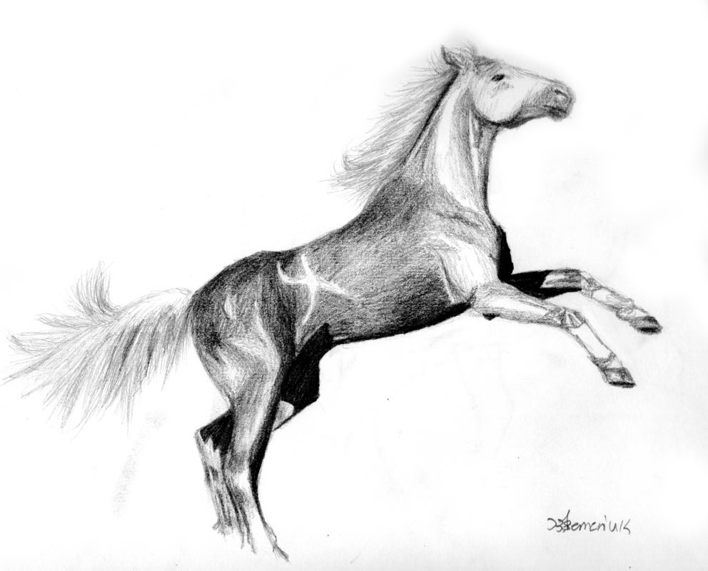 Horse Rearing Drawing - Rearing Wip | Dekorisori