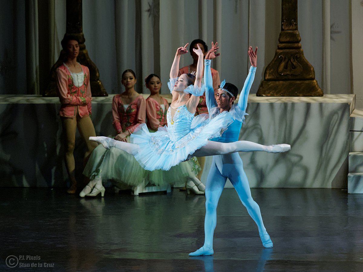 new balance 1600 dames bluebird