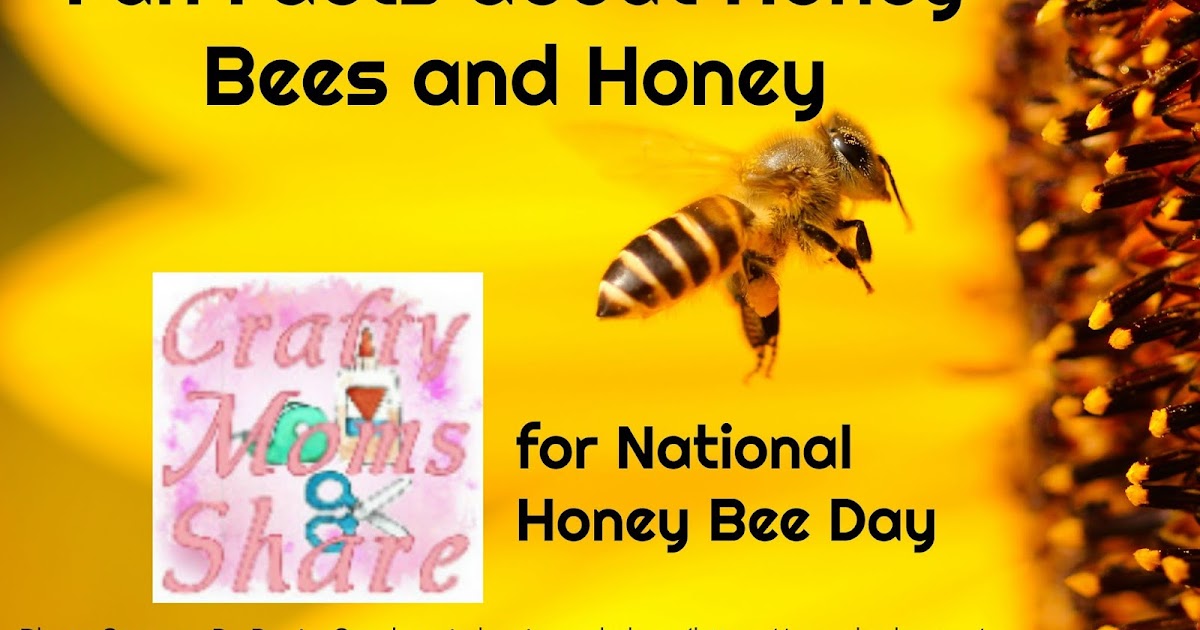 10 facts about honey bees!