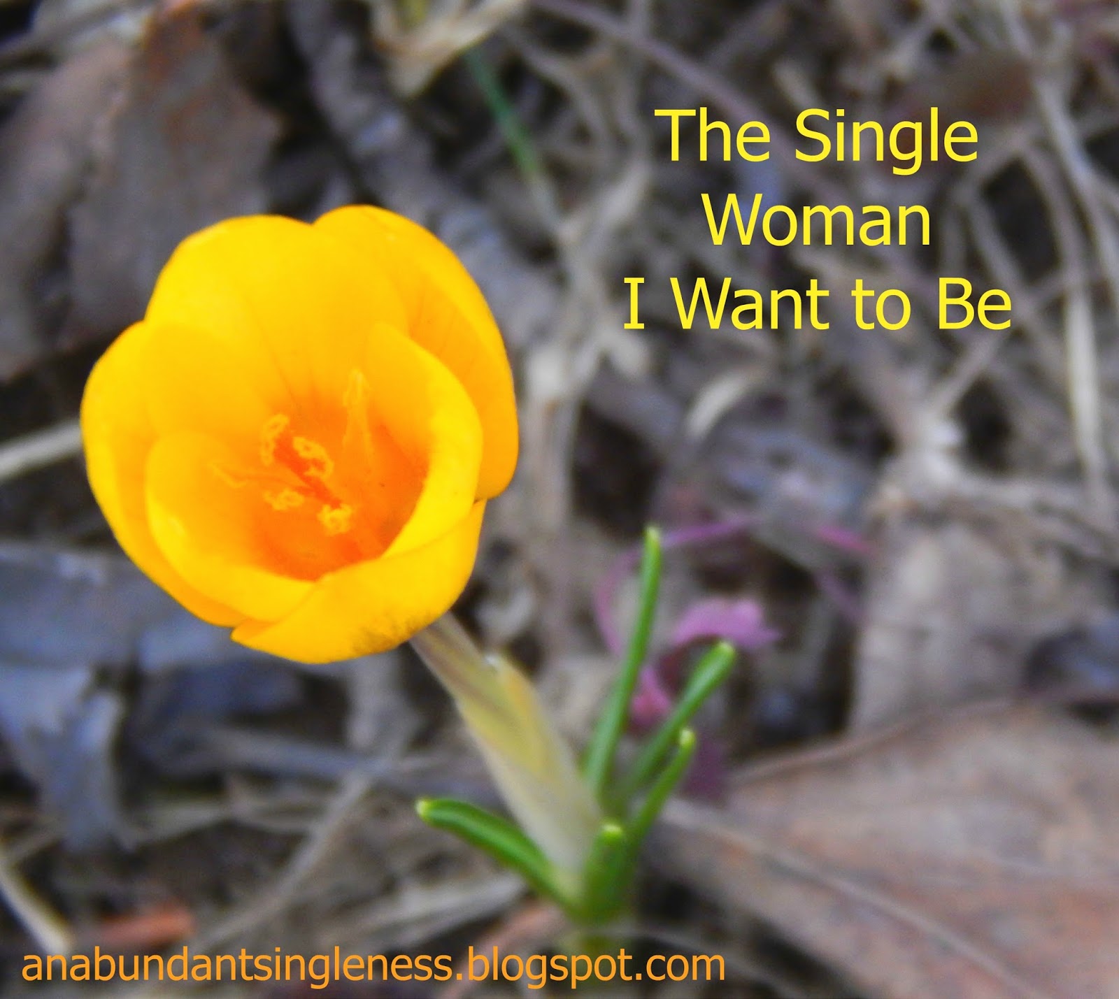 An Abundant Singleness: The Single Woman I Want to Be
