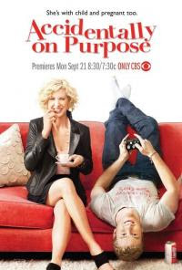 accidentally on purpose s01e09 working girl hdtv xvid fqm Baixar Accidentally On Purpose RMVB Legendado