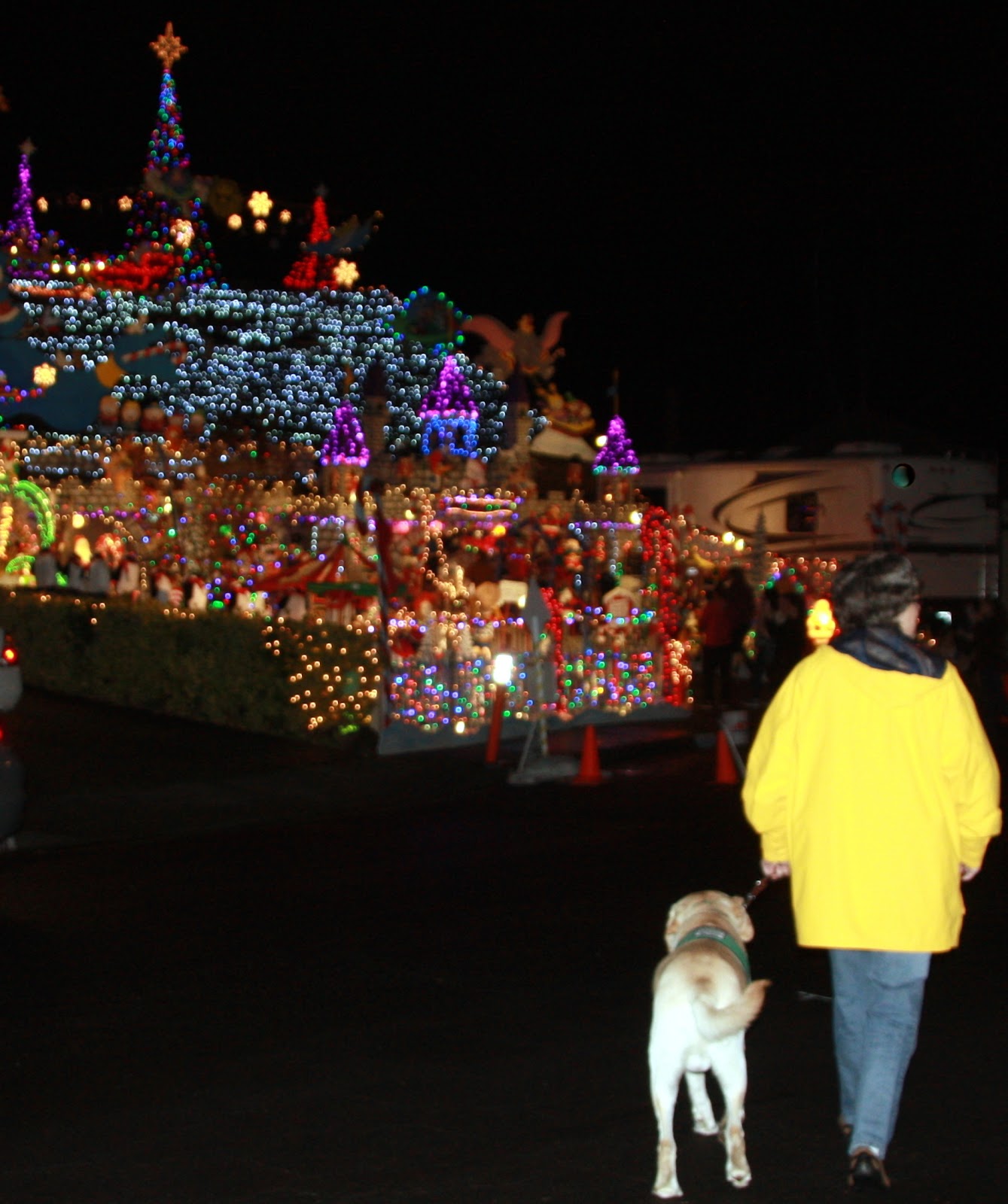 Healdsburg Heritage Hound About ChristmasHealdsburg/Cotati Style