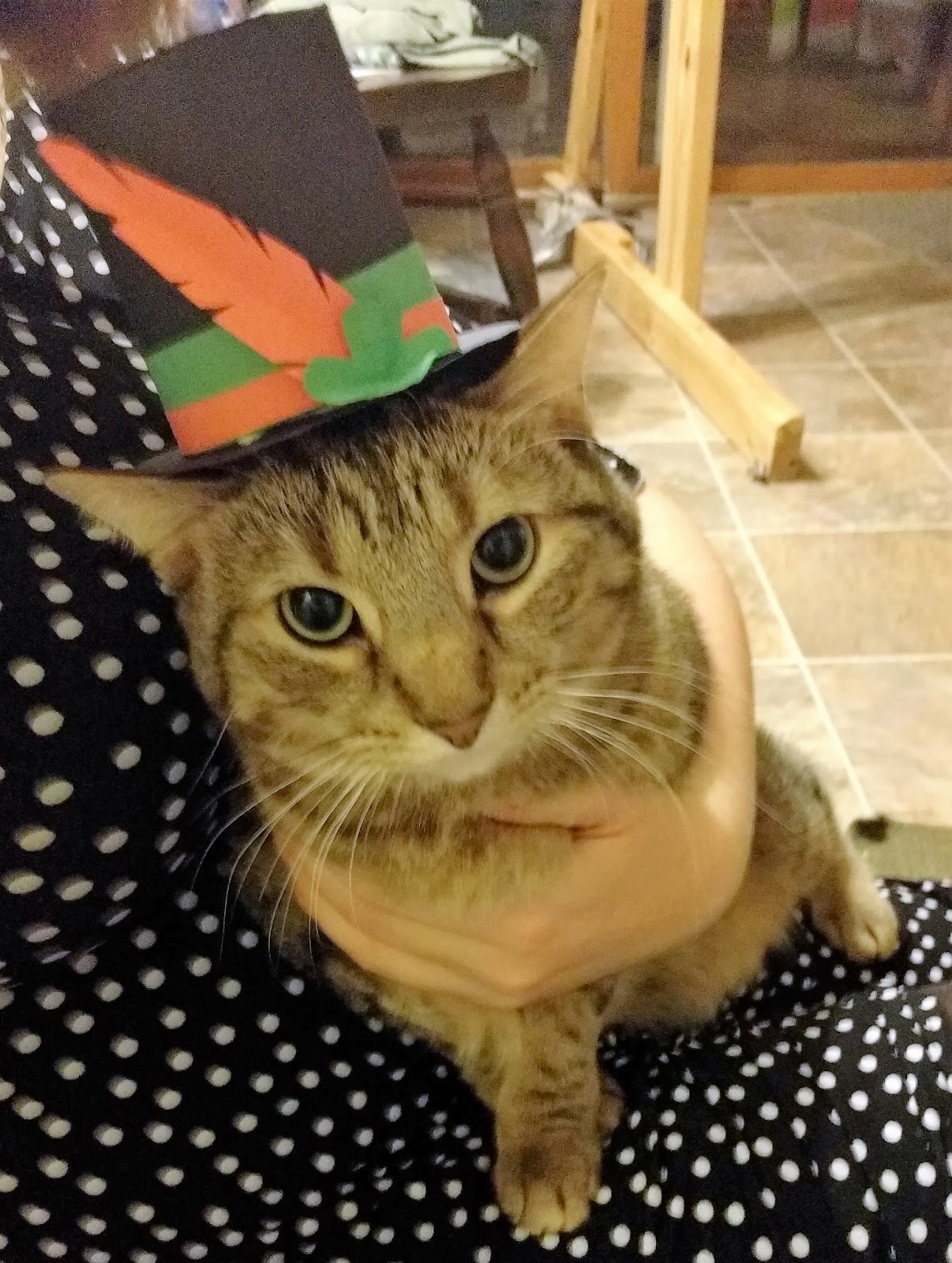 W. 11th & Bluff Staff Review Tiny Hats on Cats by Adam Ellis