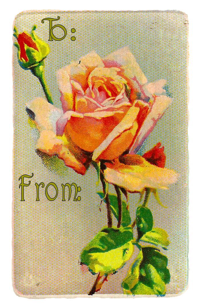 Gift Tag Png Free Template