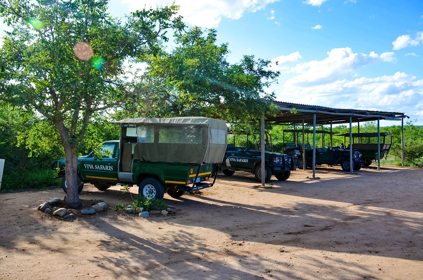 viva safaris in kruger national park