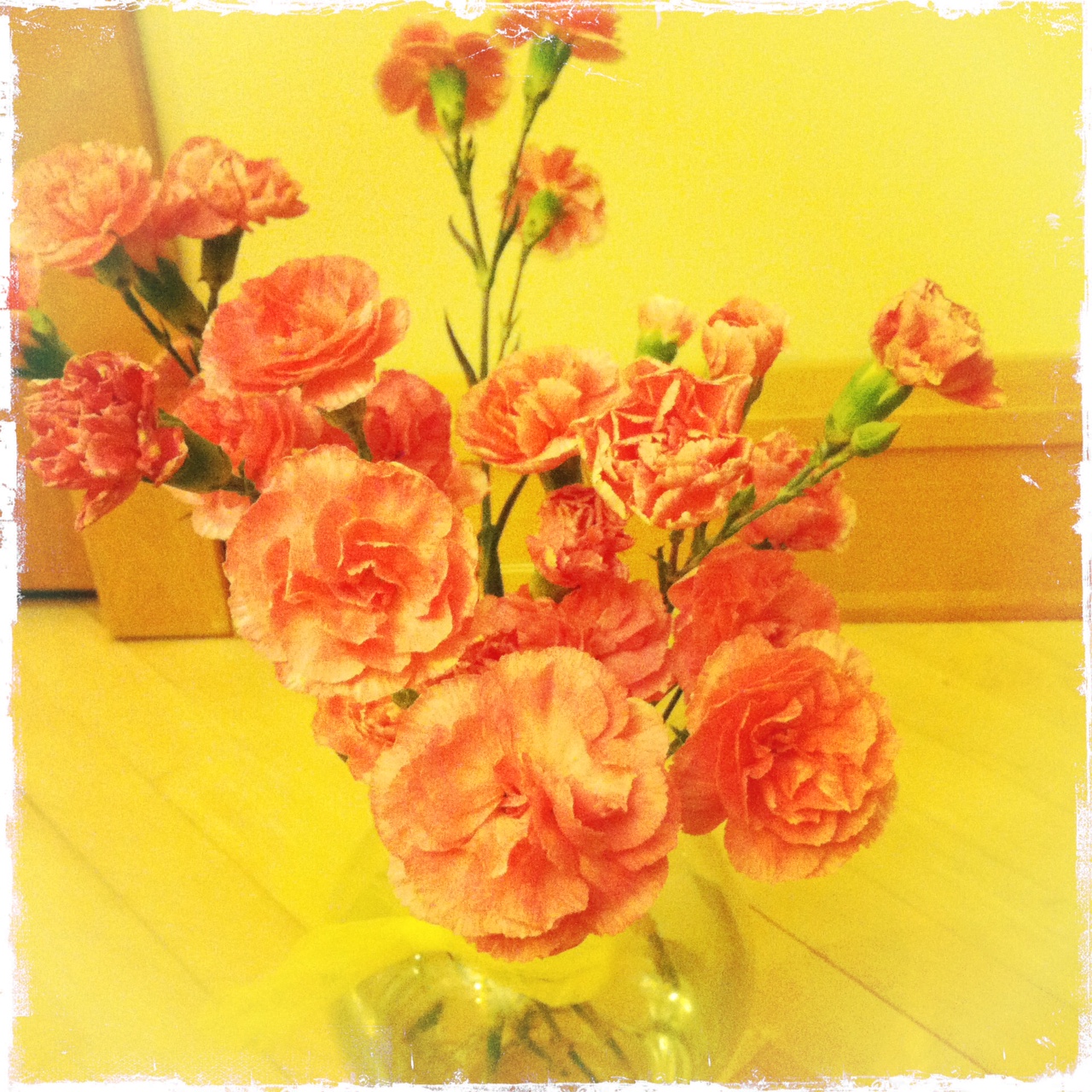 Gece Yolculugu Cansever in English