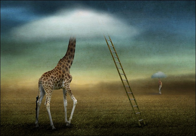 Graphics Think Tank: 200+ Adorable Examples of Surreal Photography
